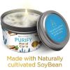 Magnificent 101 Purify 6oz Natural Soy Aromatherapy Clarity Intention Candle with Sage, Palo Santo, and Sandalwood - Magnificent 101