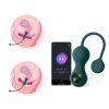 Ben Wa Ball Pelvic Exercise Kit Smart Vaginal Tightening Adult Sex Toy Kegel Weight Exercise Balls Set For Woman - Default